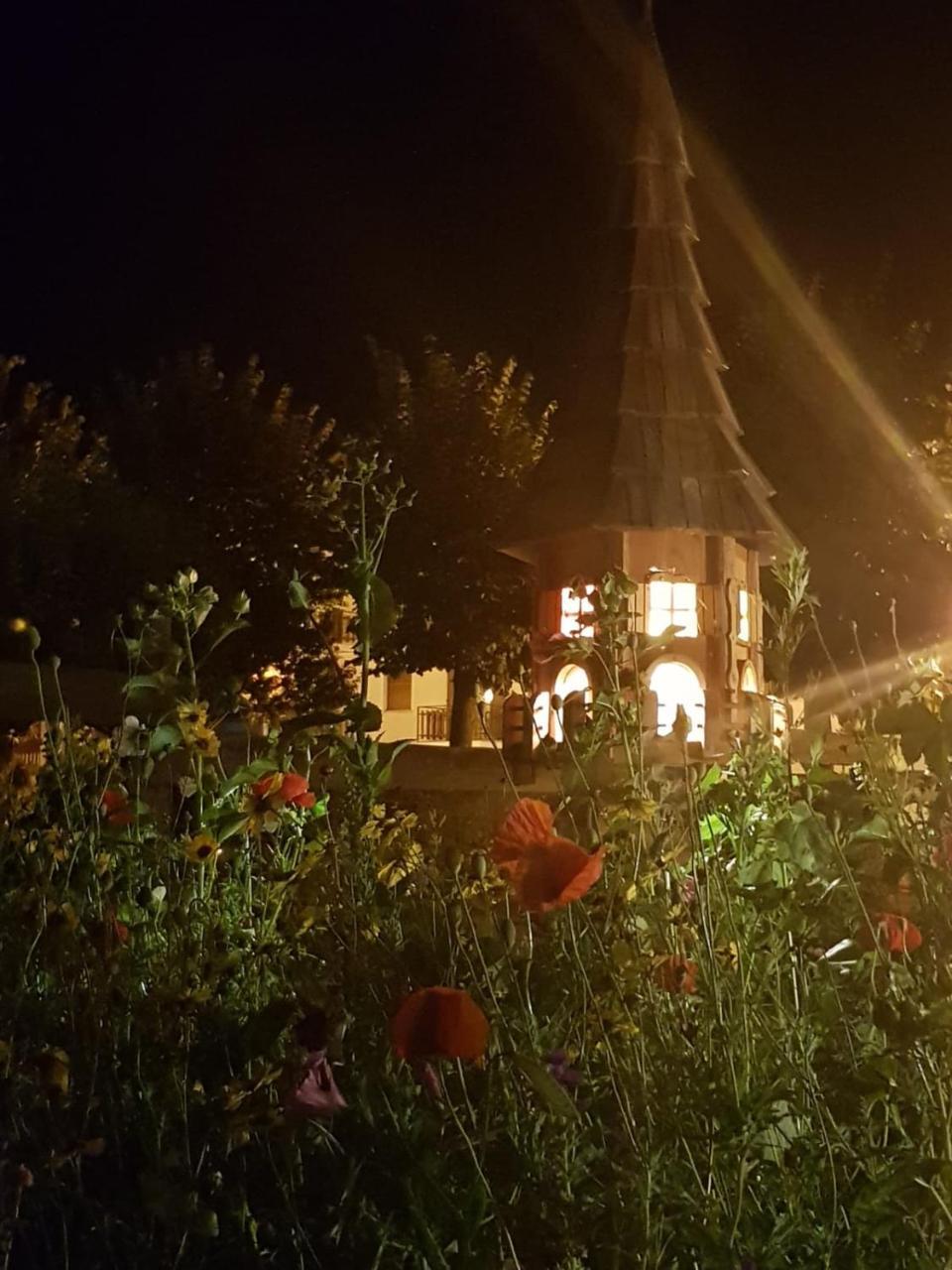 Hotel Edelweiss เพร-แซงต์-ดีดีเย ภายนอก รูปภาพ