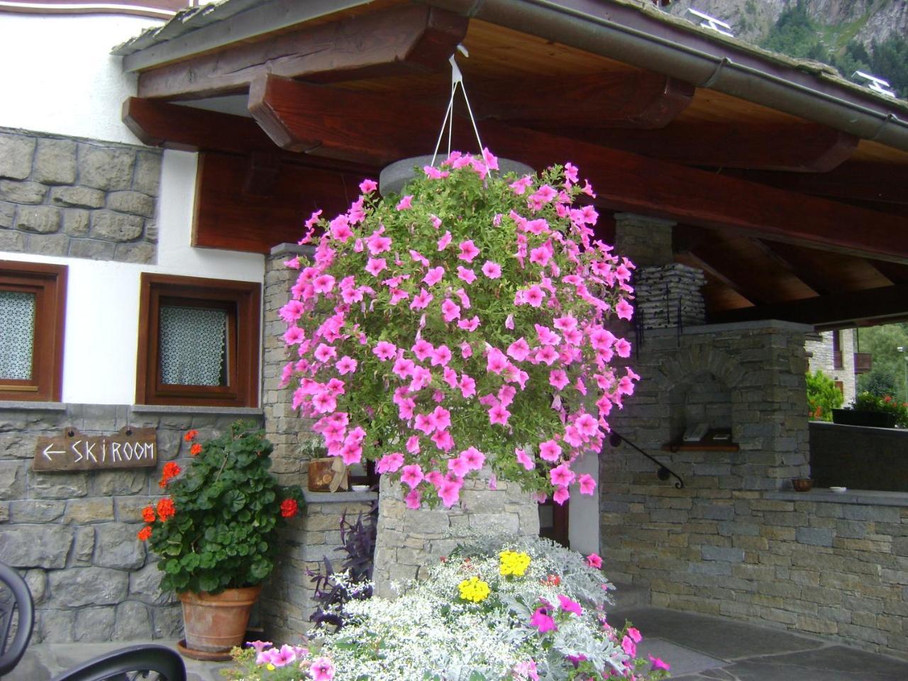 Hotel Edelweiss เพร-แซงต์-ดีดีเย ภายนอก รูปภาพ
